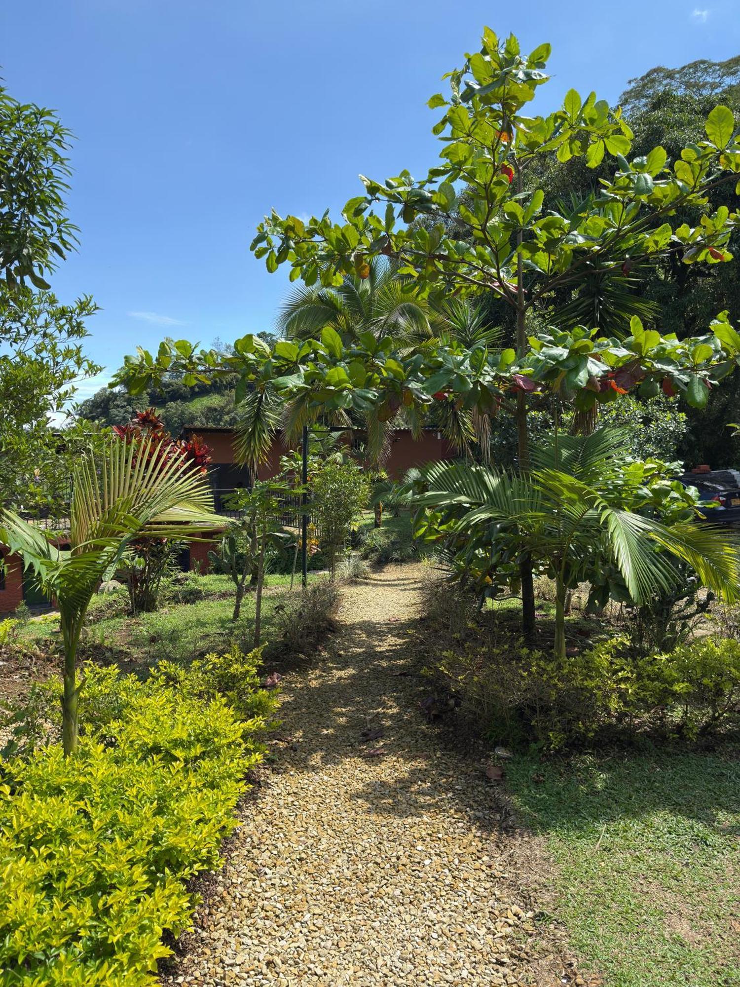 Jaragual Hostel "Eco Hostal" La Vega  Εξωτερικό φωτογραφία